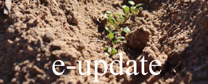 e-update